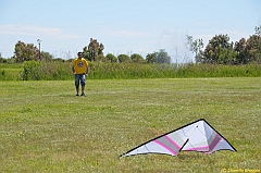 Venice kite festival_0090